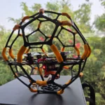 BeeZeta1-2