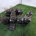 BeeZeta1-4