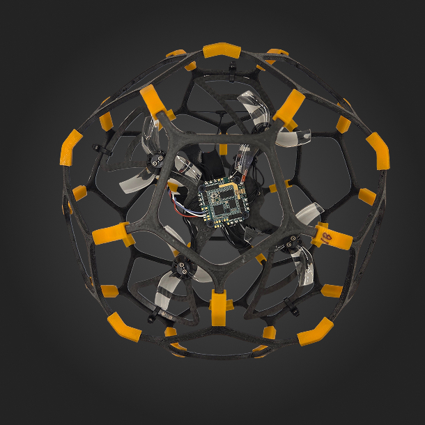BeeZeta1